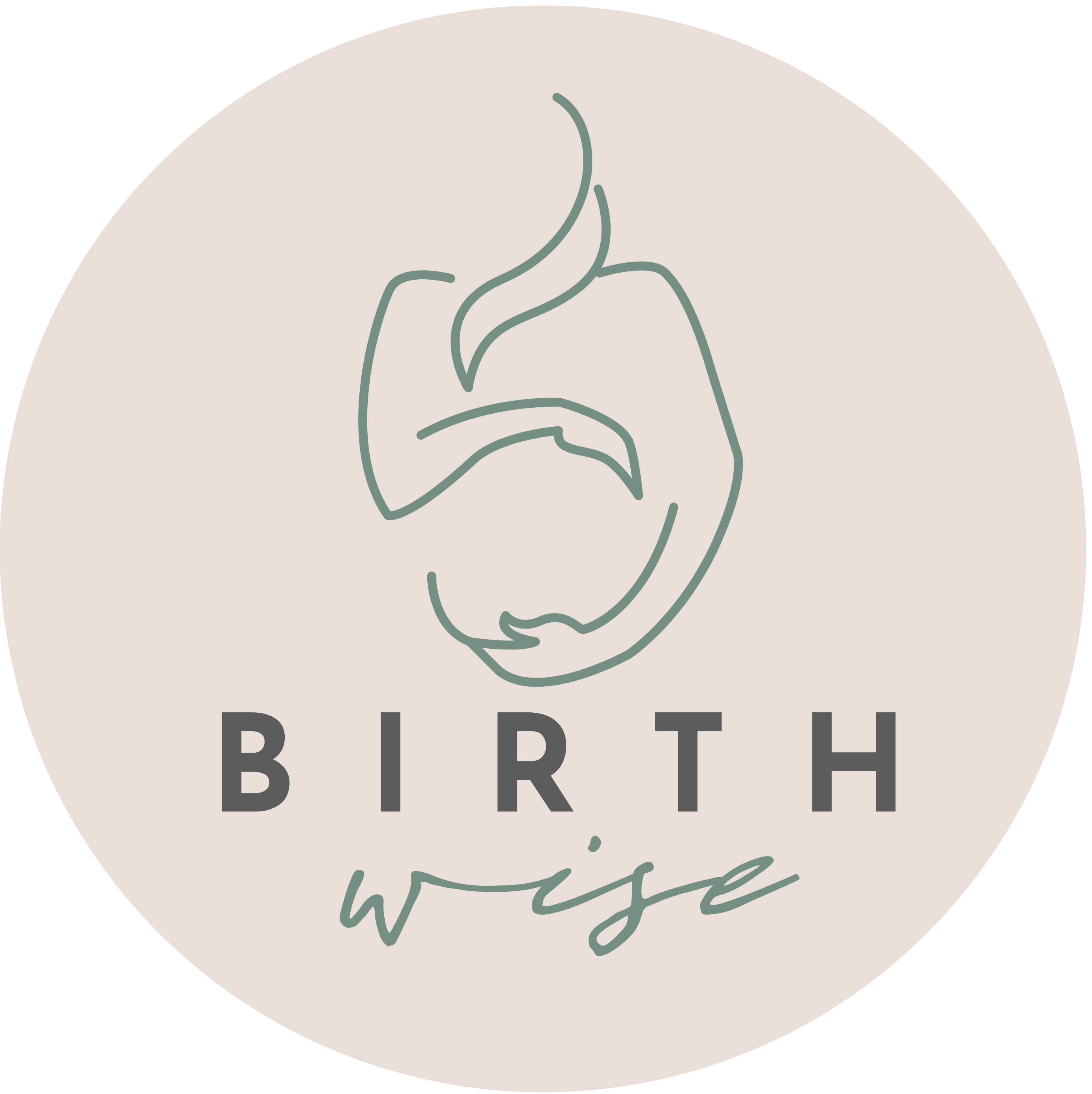 Birth Wise